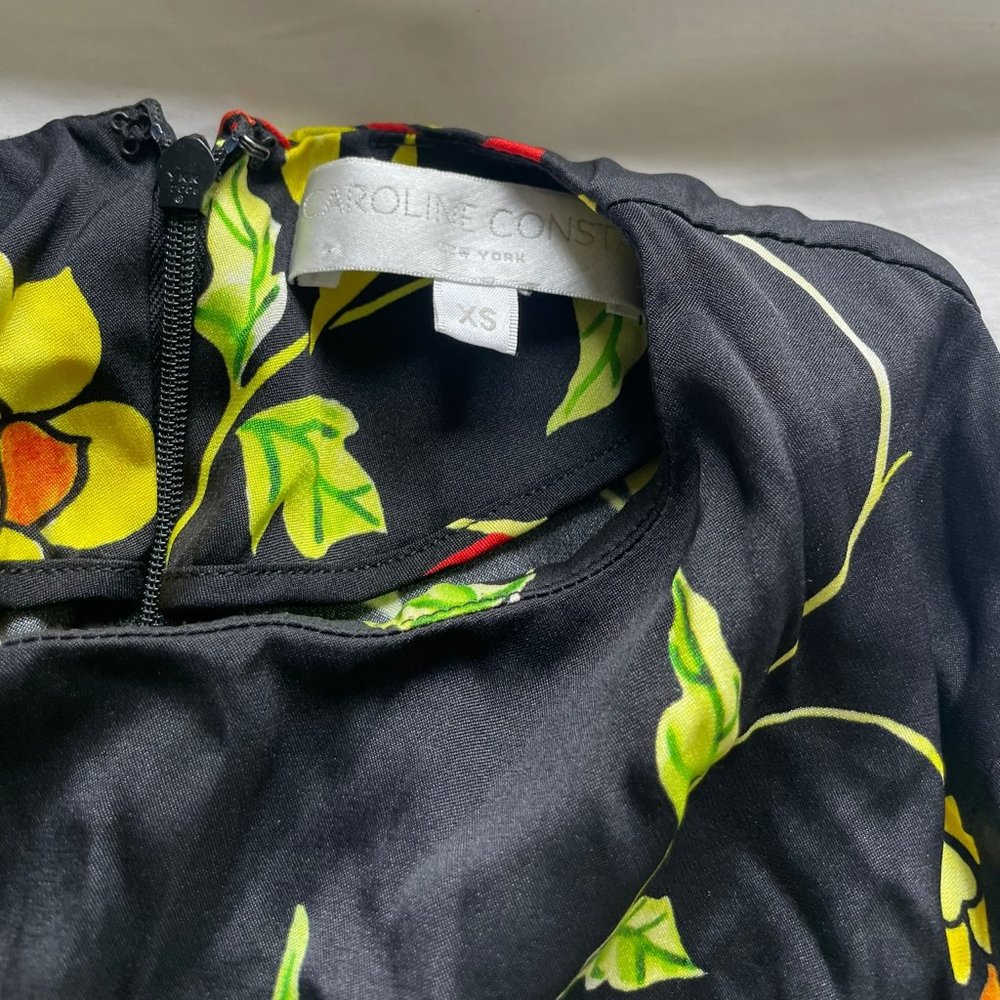 Caroline Constas dress